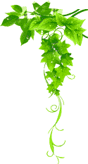 爱游戏官方App客户端下载 - 最新版本