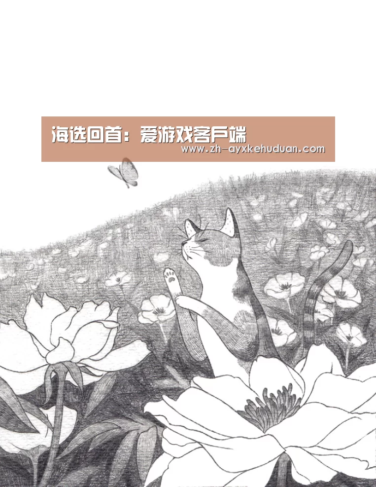 海选回首:爱游戏客户端(图7) 爱游戏客户端