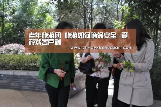 老年旅游团 旅游如何确保安全-爱游戏客户端